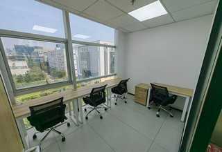 宜宾黑麦草皮批发